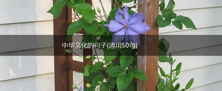 中华文化的句子(通用50句),第1张