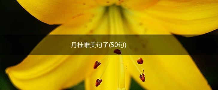 丹桂唯美句子(50句),第1张