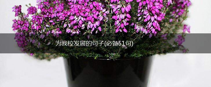 为我校发展的句子(必备51句),第1张