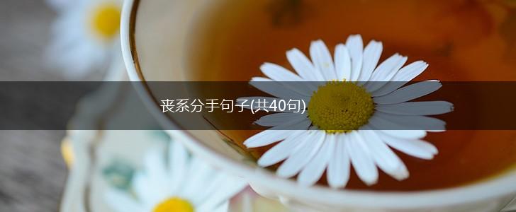 丧系分手句子(共40句),第1张