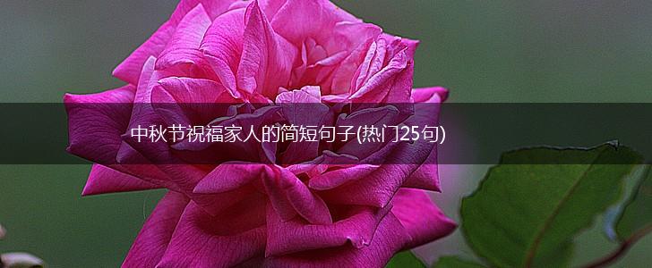 中秋节祝福家人的简短句子(热门25句),第1张