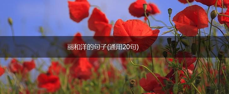 丽和洋的句子(通用20句),第1张