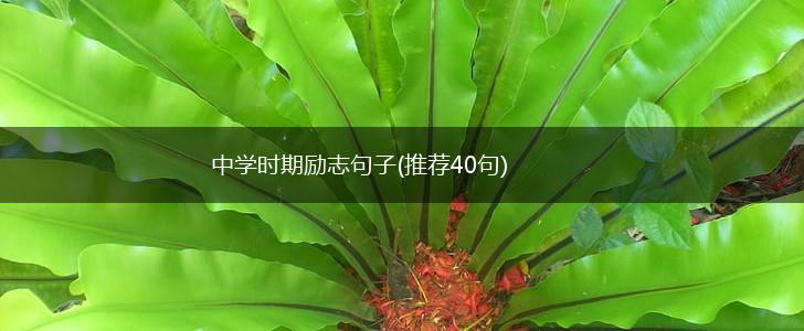 中学时期励志句子(推荐40句),第1张
