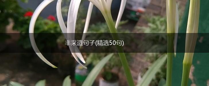 丰采造句子(精选50句),第1张