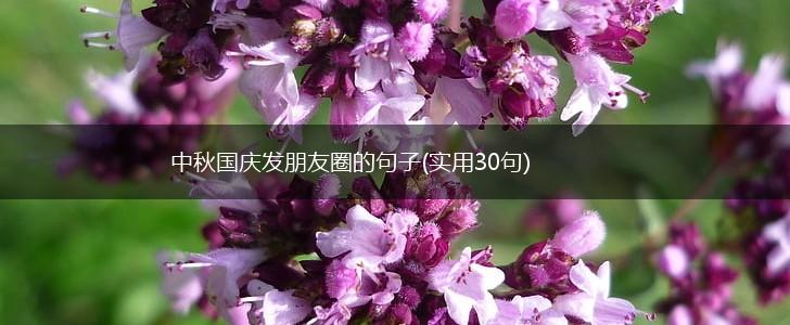 中秋国庆发朋友圈的句子(实用30句),第1张