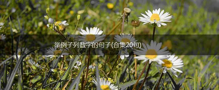 举例子列数字的句子(合集20句),第1张