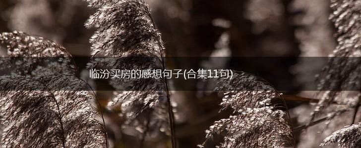 临汾买房的感想句子(合集11句),第1张
