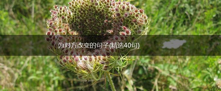 为对方改变的句子(精选40句),第1张