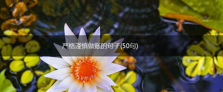 严格谨慎做账的句子(50句),第1张