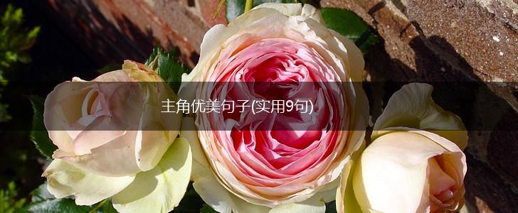 主角优美句子(实用9句),第1张