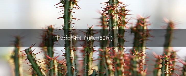 主语结构句子(通用80句),第1张
