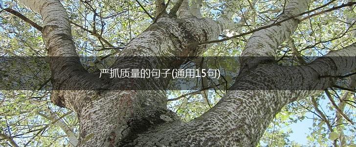 严抓质量的句子(通用15句),第1张