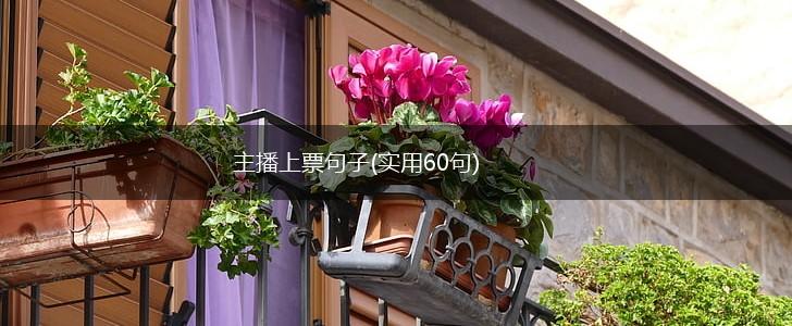 主播上票句子(实用60句),第1张