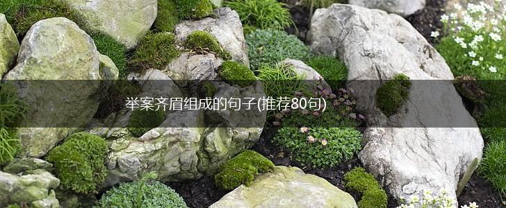 举案齐眉组成的句子(推荐80句),第1张