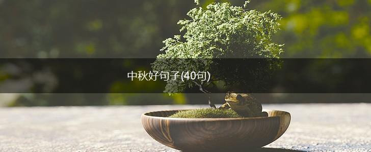 中秋好句子(40句),第1张