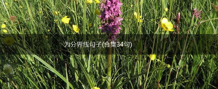 为分界线句子(合集34句),第1张