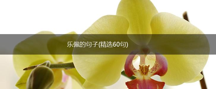 乐佩的句子(精选60句),第1张