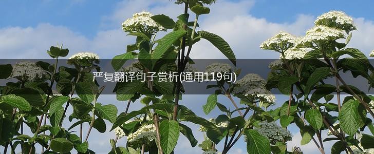 严复翻译句子赏析(通用119句),第1张