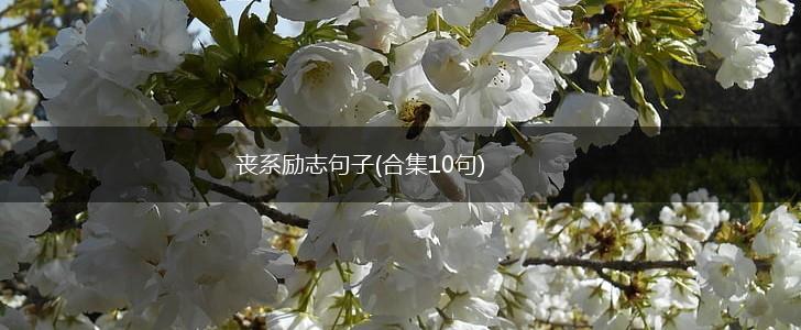 丧系励志句子(合集10句),第1张