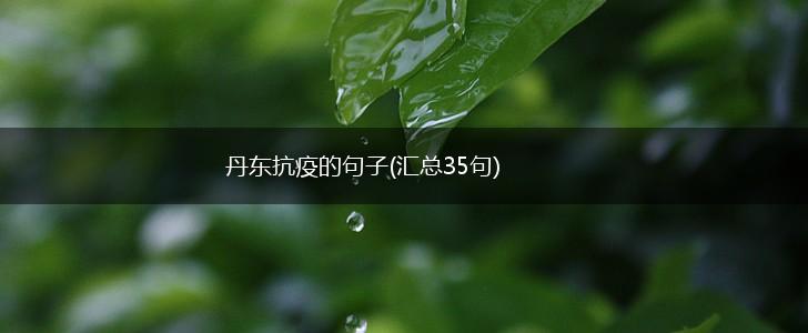 丹东抗疫的句子(汇总35句),第1张