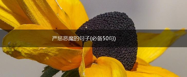 严惩恶魔的句子(必备50句),第1张