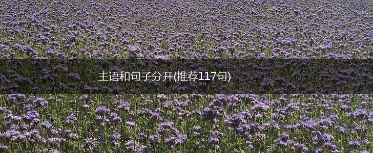 主语和句子分开(推荐117句),第1张