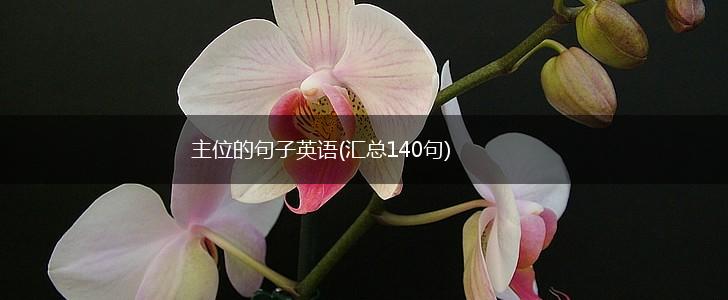 主位的句子英语(汇总140句),第1张