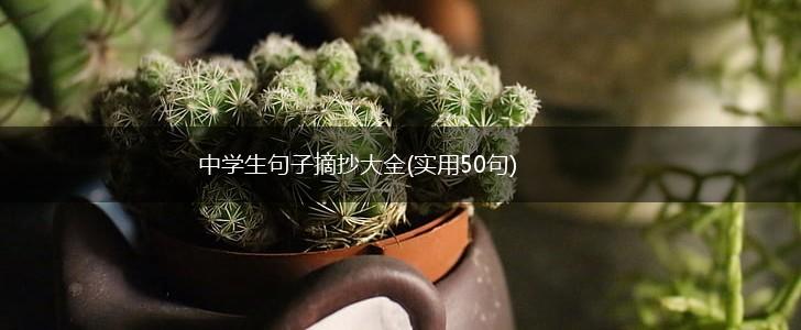 中学生句子摘抄大全(实用50句),第1张