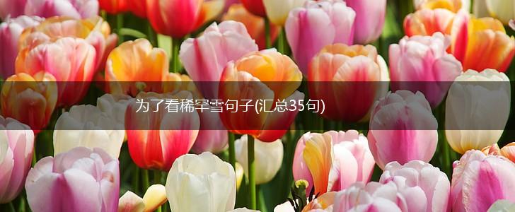 为了看稀罕雪句子(汇总35句),第1张