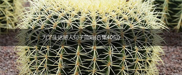 为了生活感人句子简短(合集40句),第1张