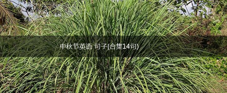 中秋节英语 句子(合集14句),第1张