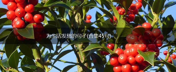 为生活发愁的句子(合集45句),第1张