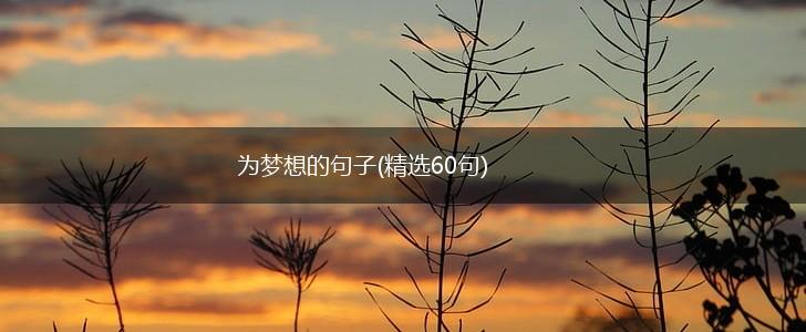 为梦想的句子(精选60句),第1张