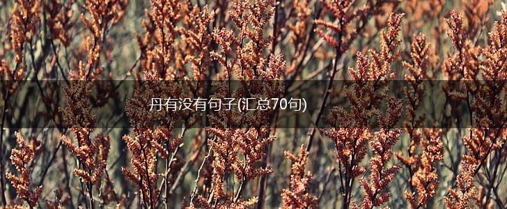 丹有没有句子(汇总70句),第1张
