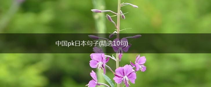 中国pk日本句子(精选10句),第1张