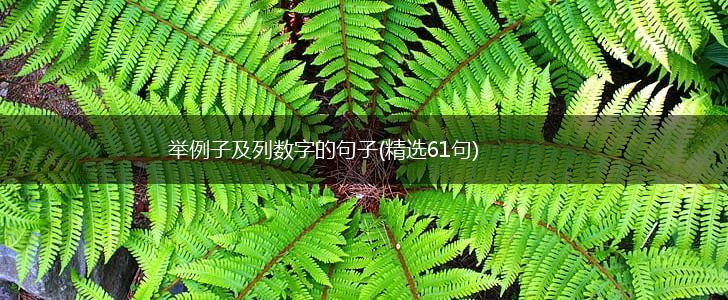 举例子及列数字的句子(精选61句),第1张