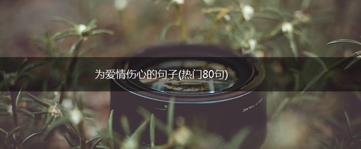 为爱情伤心的句子(热门80句),第1张