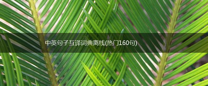 中英句子互译词典离线(热门160句),第1张