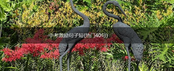 中考激励句子短(热门40句),第1张