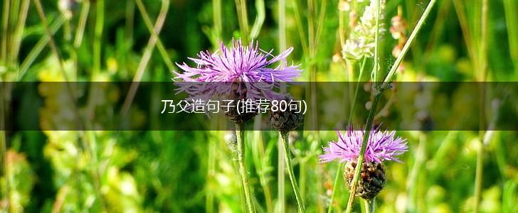 乃父造句子(推荐80句),第1张