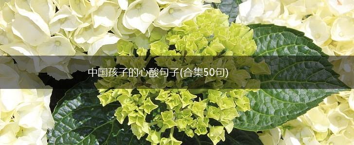 中国孩子的心酸句子(合集50句),第1张