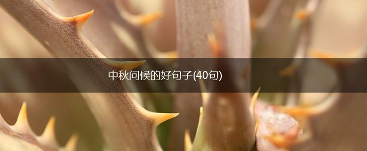 中秋问候的好句子(40句),第1张
