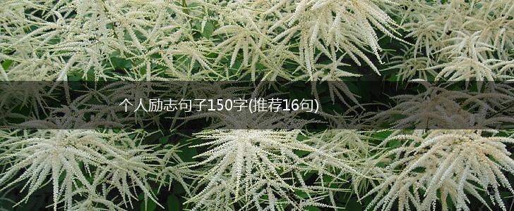 个人励志句子150字(推荐16句),第1张