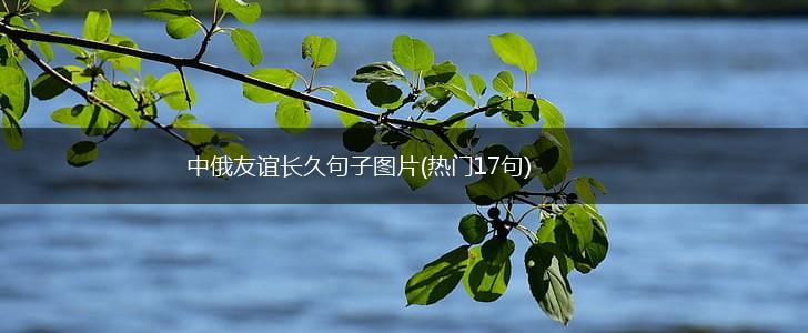 中俄友谊长久句子图片(热门17句),第1张
