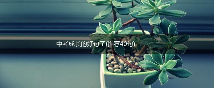 中考成长的好句子(推荐40句),第1张