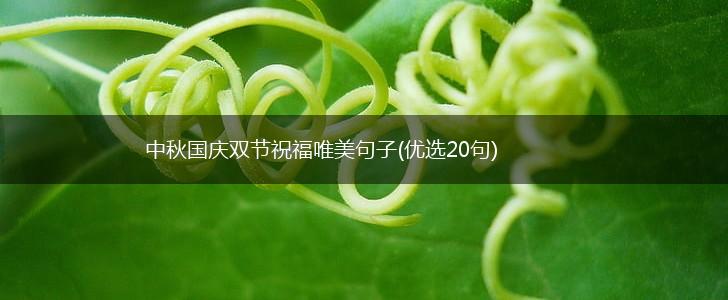 中秋国庆双节祝福唯美句子(优选20句),第1张