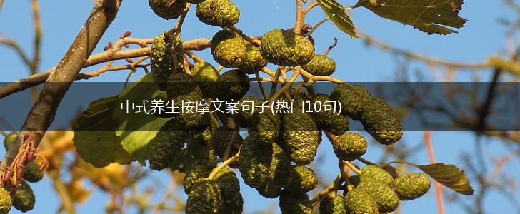 中式养生按摩文案句子(热门10句),第1张