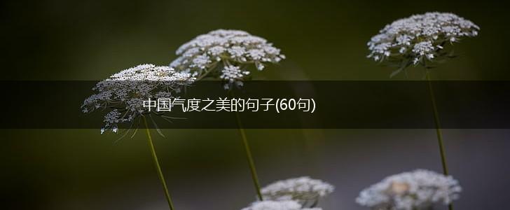 中国气度之美的句子(60句),第1张