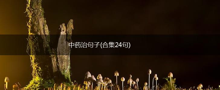 中药治句子(合集24句),第1张