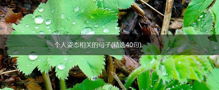 个人姿态相关的句子(精选40句),第1张
